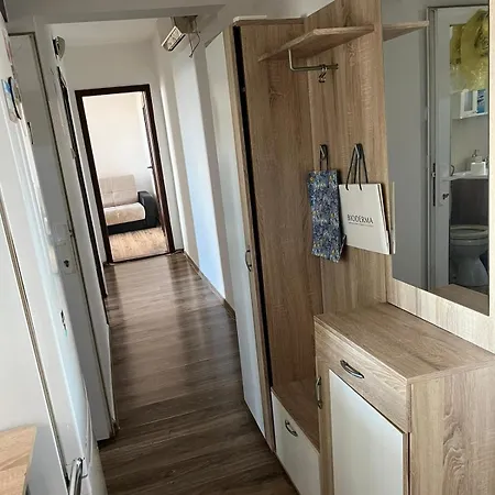 Apartment Dlai Srl Timisoara